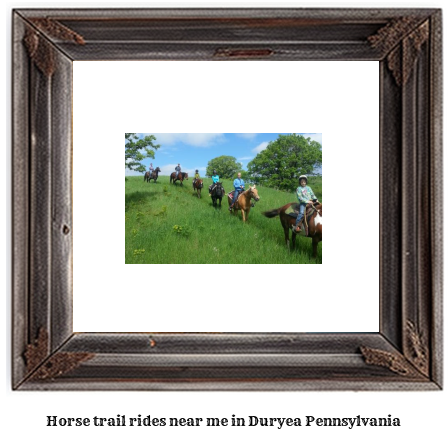 horse trail rides near me in Duryea, Pennsylvania